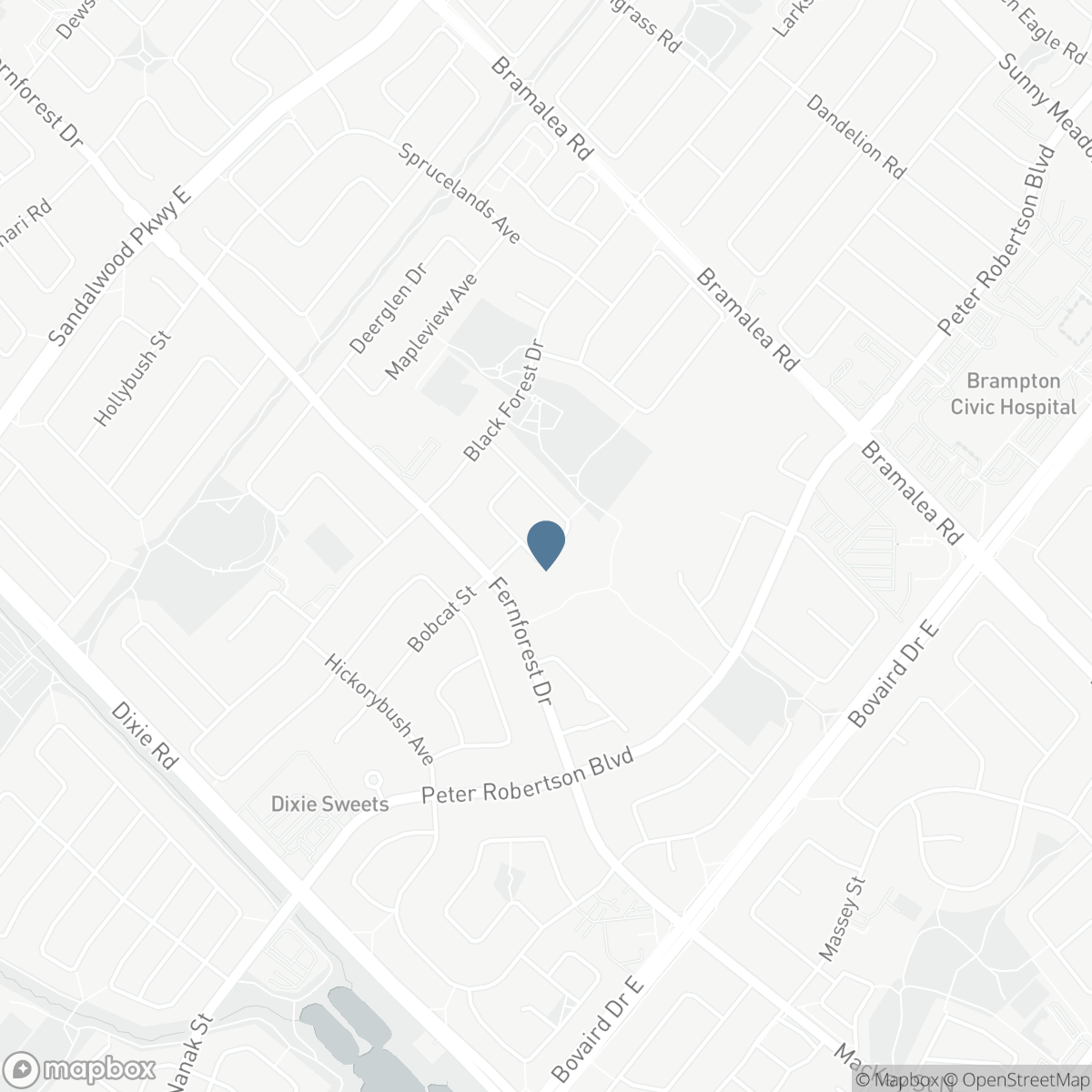 95 BUNCHBERRY WAY, Brampton, Ontario L6R 2E8